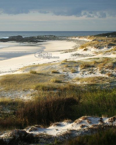 larino03_16