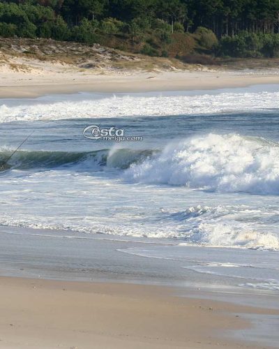 larino24_10