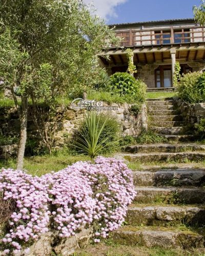 vista